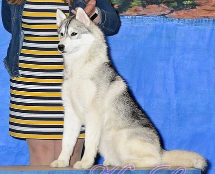 Photo of Kalara’s Fierce By Nature