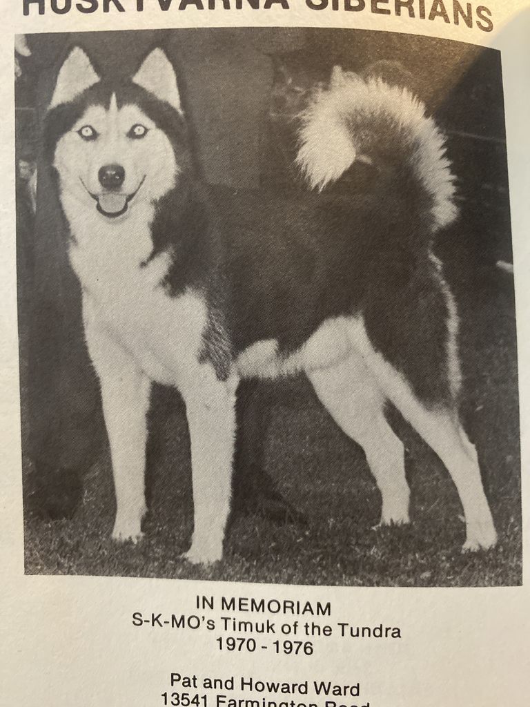 Photo of S-K-Mo’s Timuk Of The Tundra