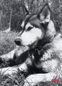 Photo of Catilina ze Skvoretickeho Zamku