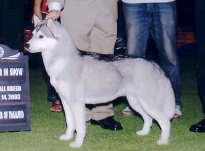 Photo of Shapali N Amity’s Rant N Rave