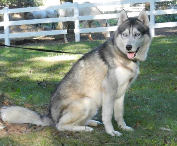 Photo of Brijoca’s Portrait of Perfection