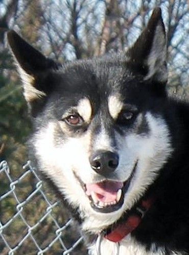 Photo of Jedeye Jake of Manitou