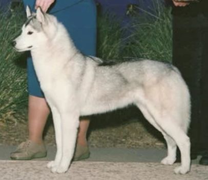 Photo of Wildestar’s Desert Wind