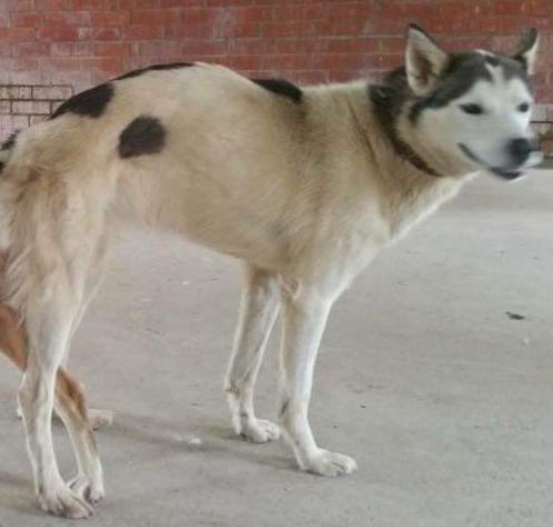 Photo of Hunter