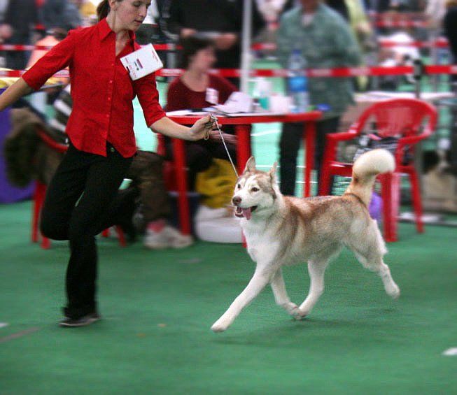 Photo of Go And Win Of Wolf Point
