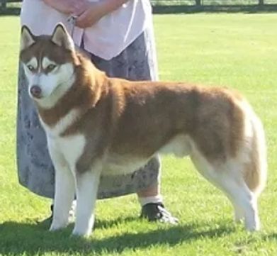 Photo of Rynkar God Of Time