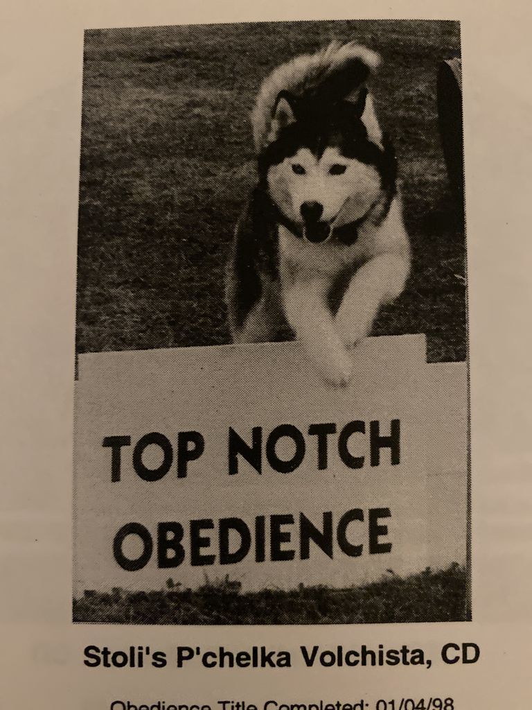 Photo of Stoli’s P’chelka Volchista