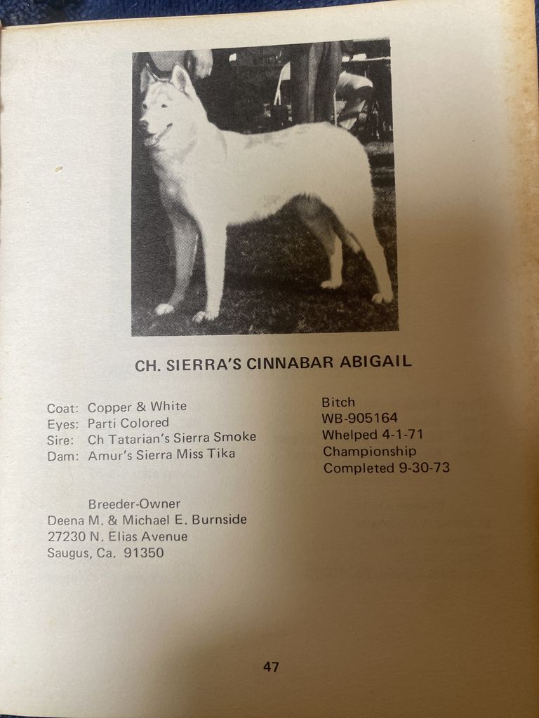 Photo of Sierra’s Cinnabar Abigail