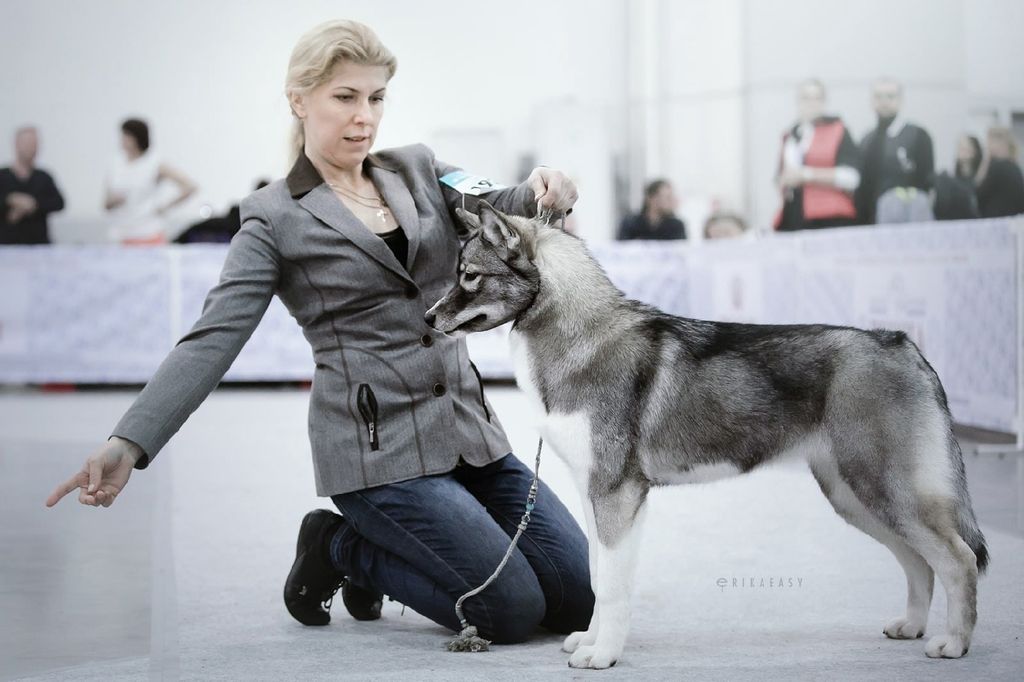 Photo of Skycrew Alba Su Asgard