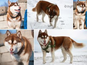 Photo of Hati