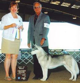 Photo of Husker Du’s Spirit Of The Wind