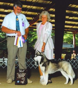 Photo of Husker Du's Bella Sera
