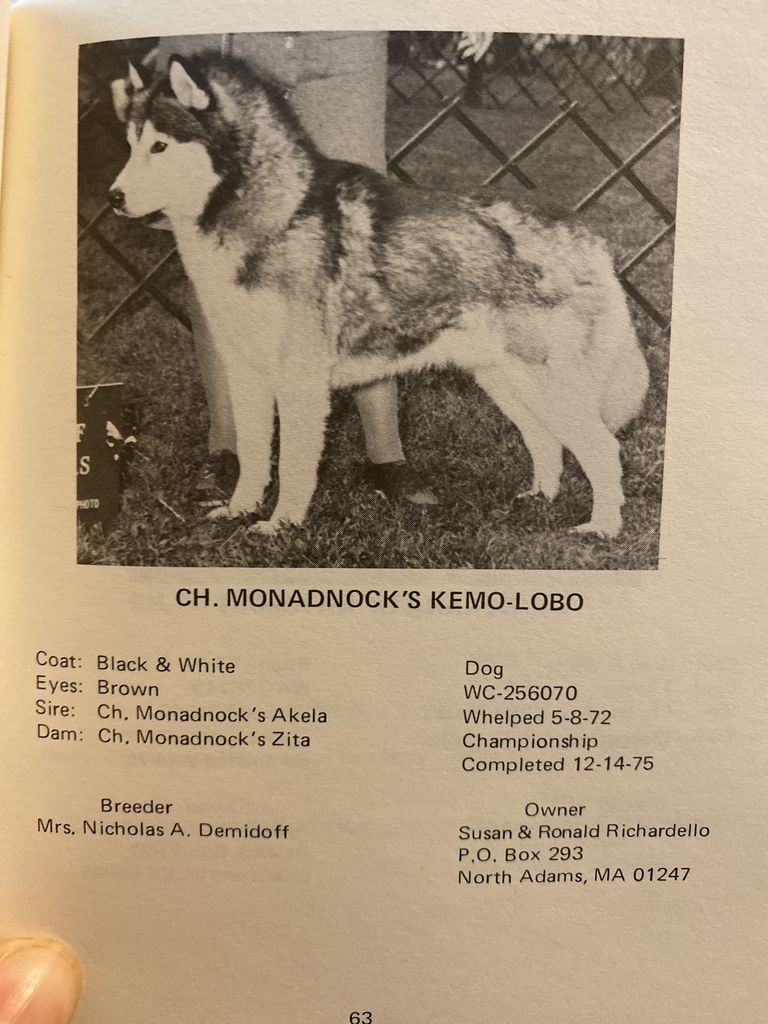 Photo of Monadnock’s Kemo-Lobo
