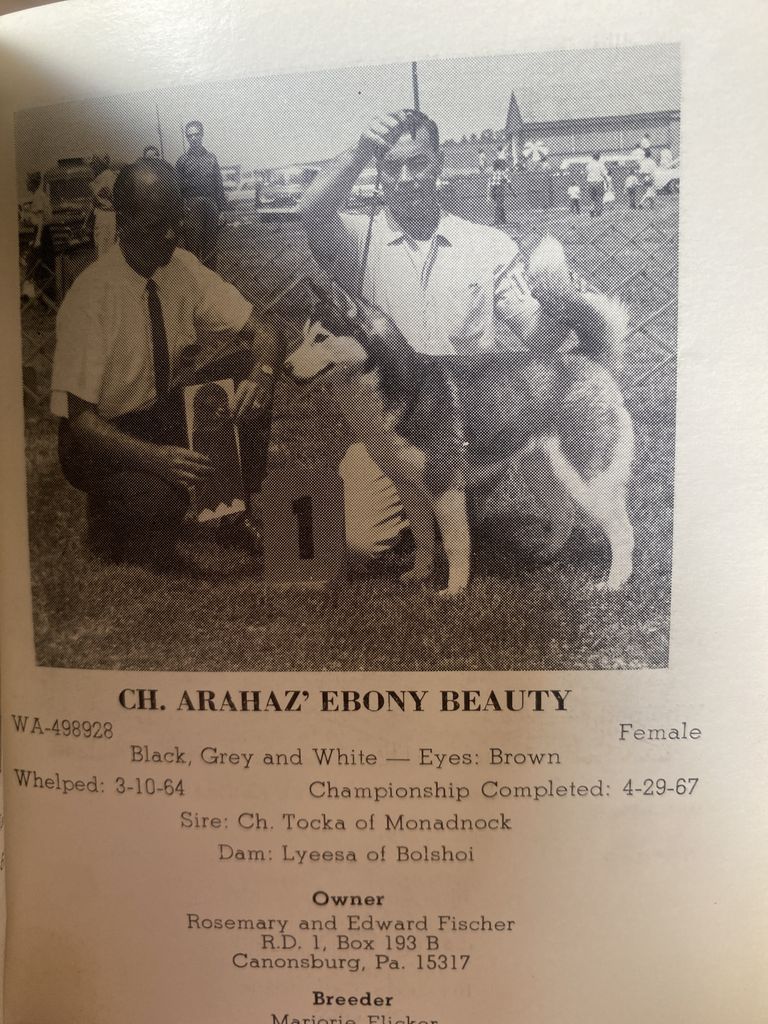 Photo of Arahaz’ Ebony Beauty