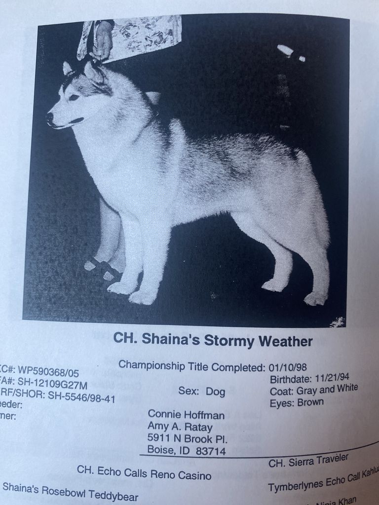 Photo of Shaina’s Stormy Weather