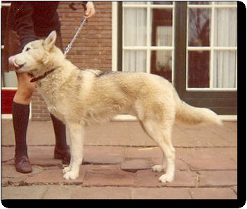 Photo of Yaddam Of Kolyma