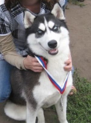 Photo of Atlanta S Goluboy Zvezdy