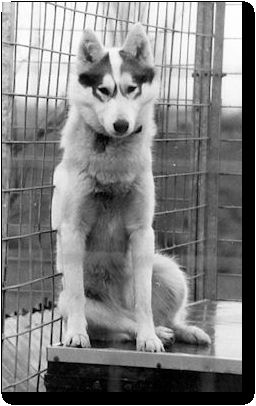 Photo of Natalie Of Kolyma