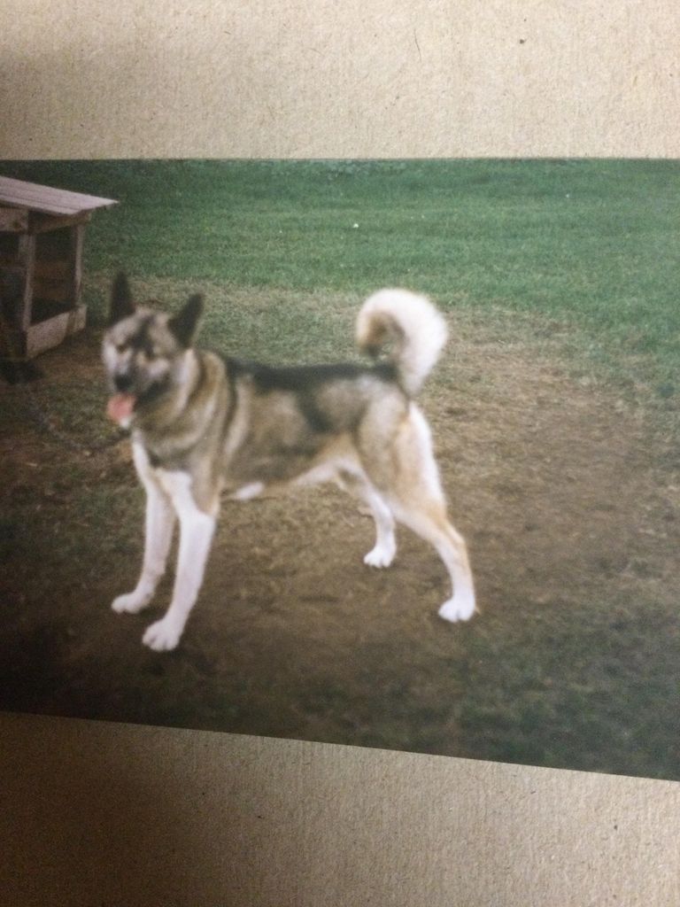 Photo of Rock of Windigo