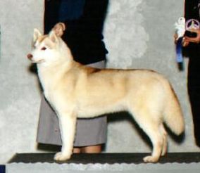Photo of Topaz Cheyenne
