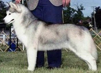 Photo of Chrisdon’s Distant Thunder