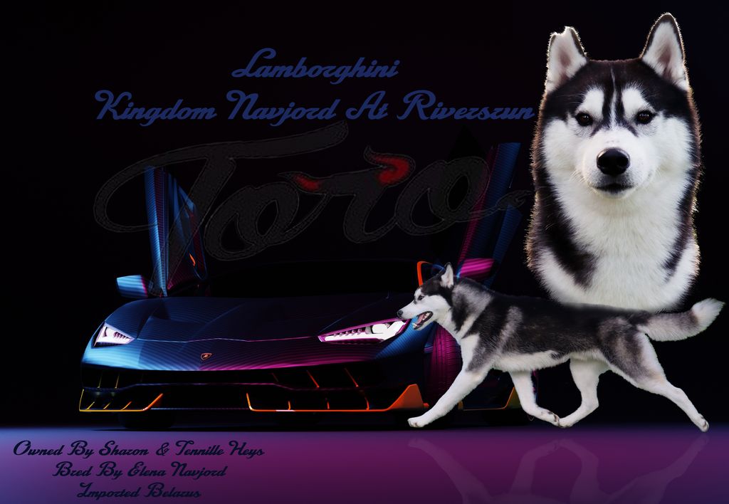 Photo of Lamborghini Kingdom Navjord At Riversrun