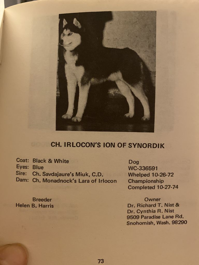 Photo of Irlocon’s Ion of Synordik