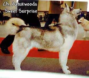 Photo of Aatukwoods Sweet Surprise