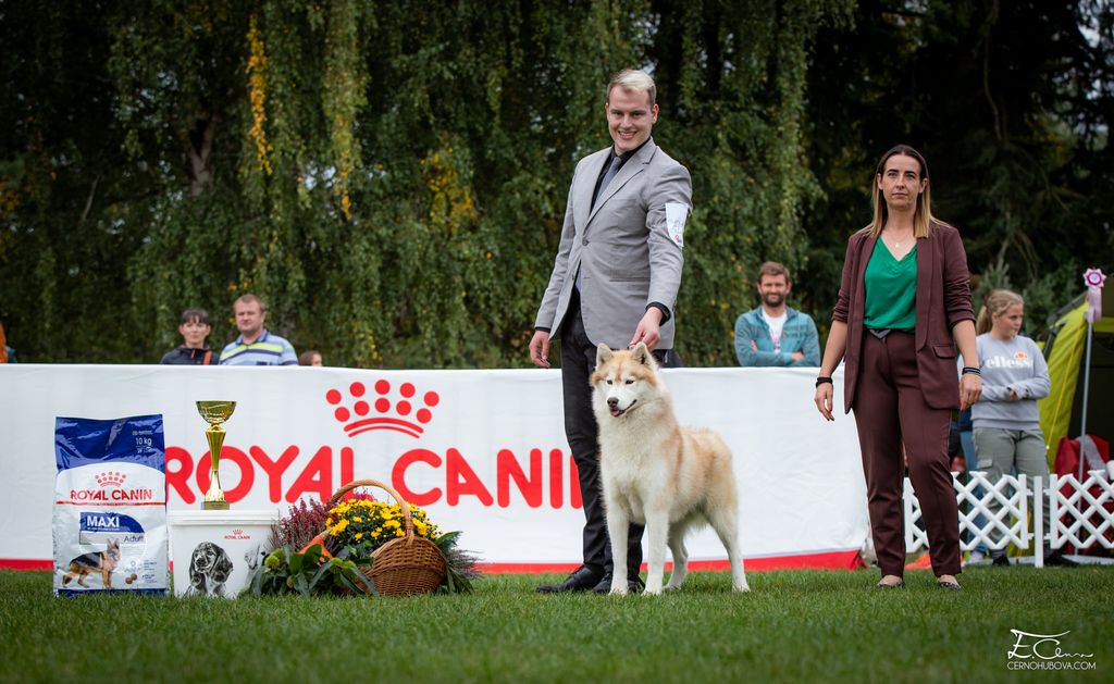Photo of Flame of Love Jednicka