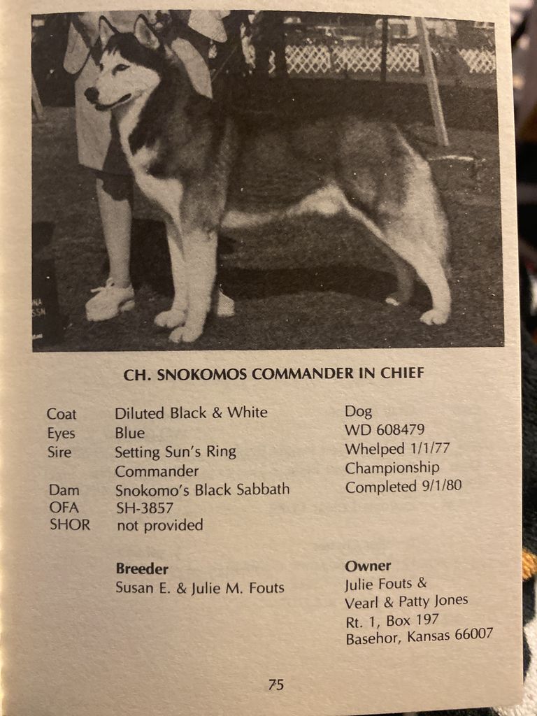 Photo of Snokomos Commander In Chief