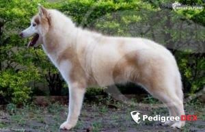 Photo of Red Graph do Rancho da Pedra