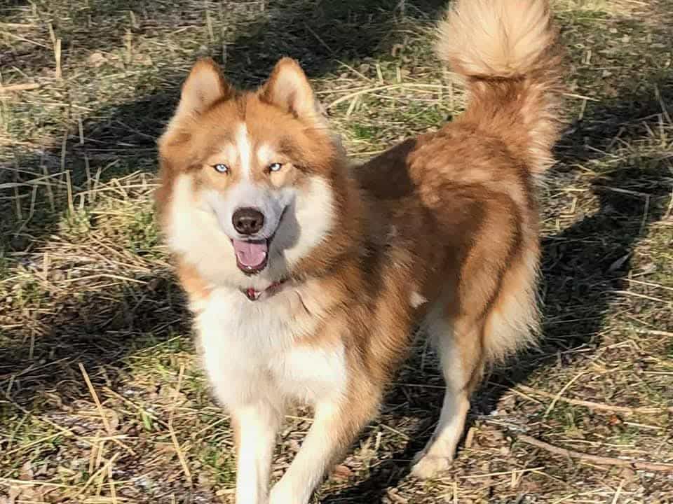 Photo of Bella Rosalina