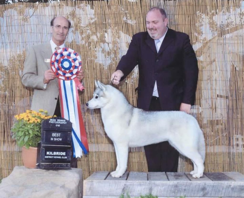 Photo of Snowmist’s Legally Blonde