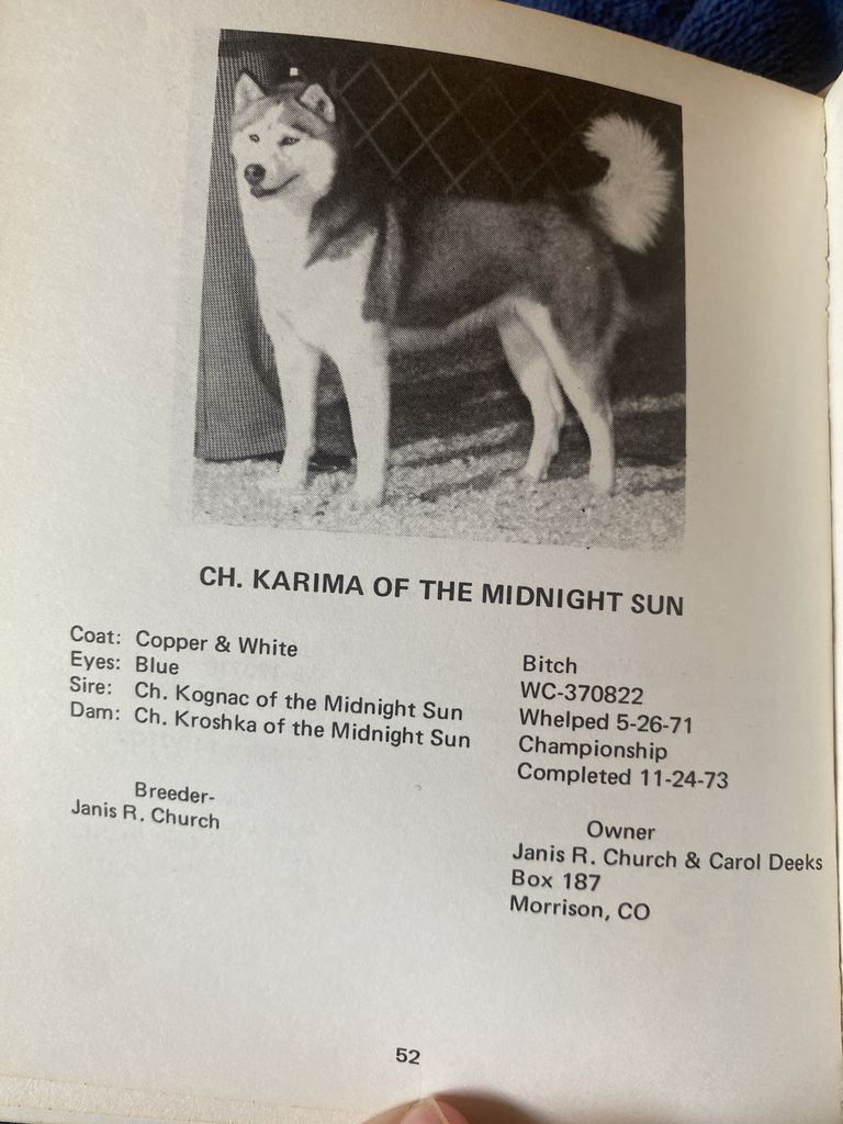 Photo of Karima of the Midnight Sun