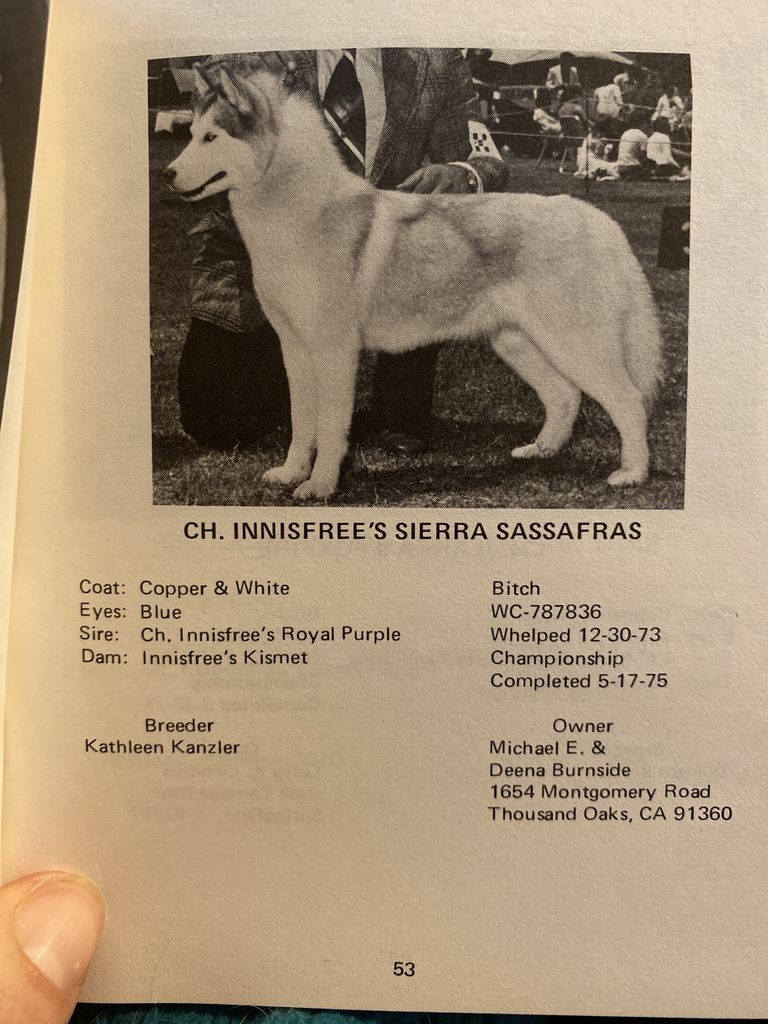 Photo of Innisfree’s Sierra Sassafras