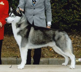 Photo of Coventry's Peace Seeker