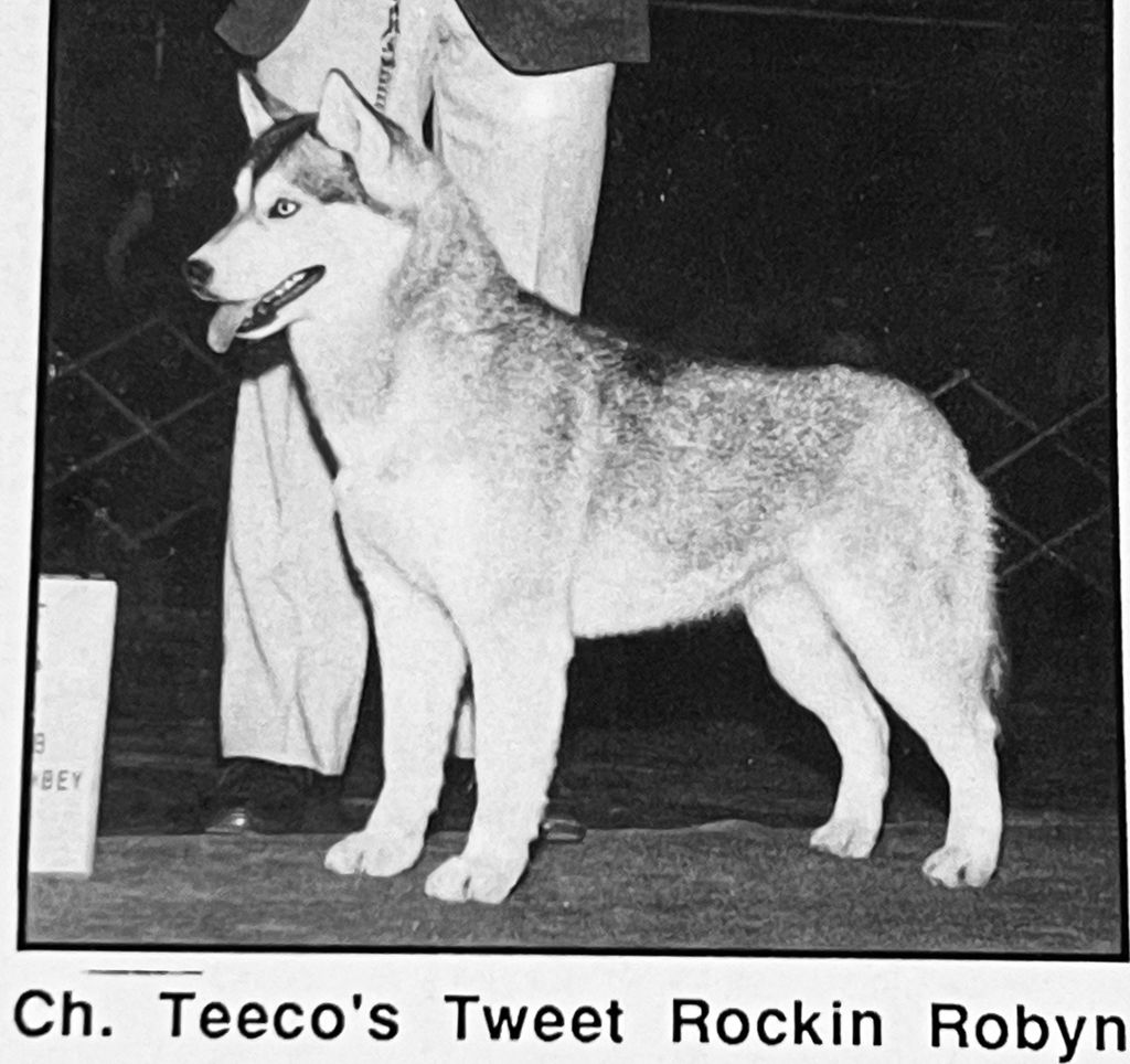 Photo of Teeco’s Tweet Rockin Robyn