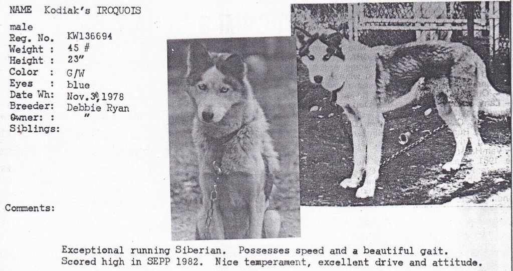 Photo of Kodiak’s Iroquois