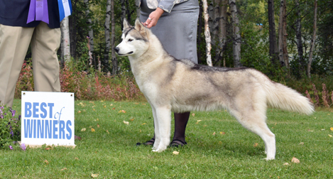 Photo of Kayenta's Extreme Ways