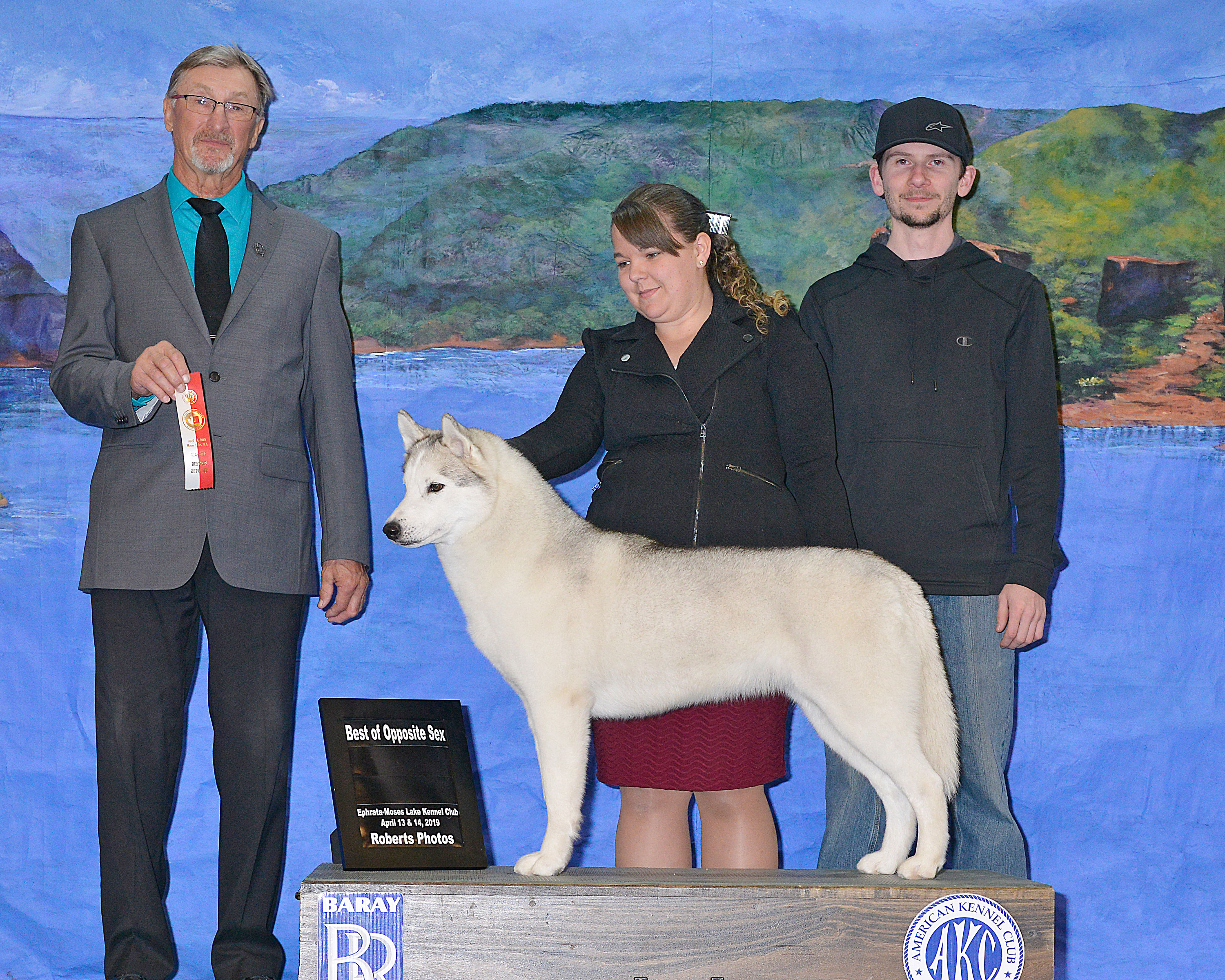 Photo of Silver Falls Diamond In The Ruff