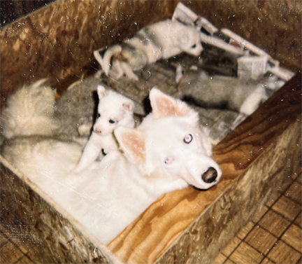 Photo of Riverview's Seven-Up of Sepp-Alta