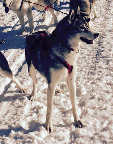 Photo of Tumnatki's Sliver Moon