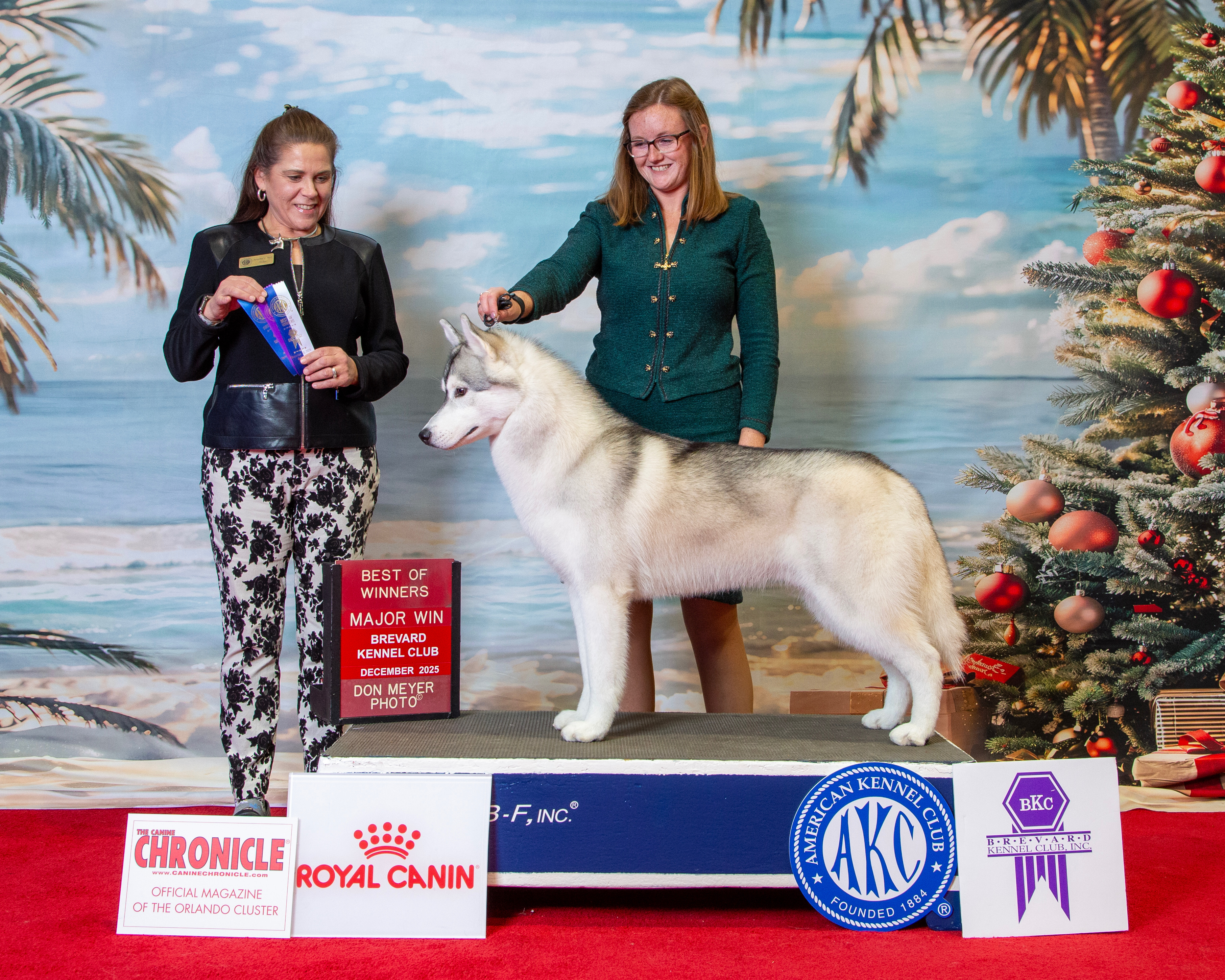 Photo of Pandora's Truth